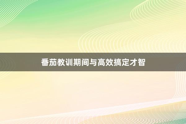 番茄教训期间与高效搞定才智