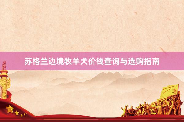 苏格兰边境牧羊犬价钱查询与选购指南